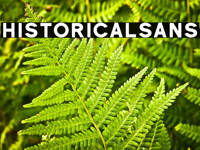 Historical-Sans Example 1