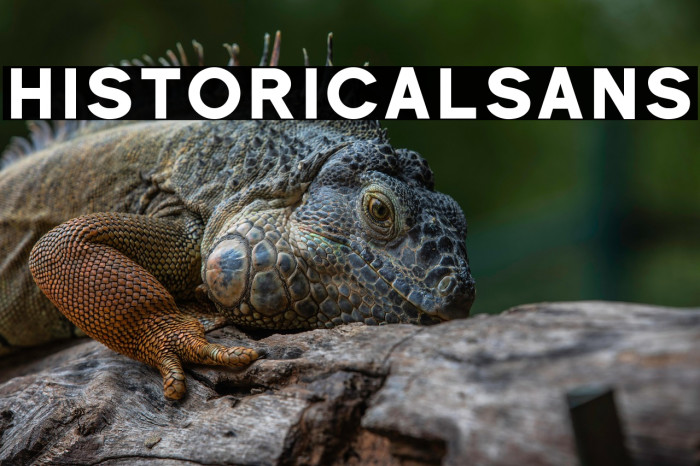 Historical-Sans Example 3