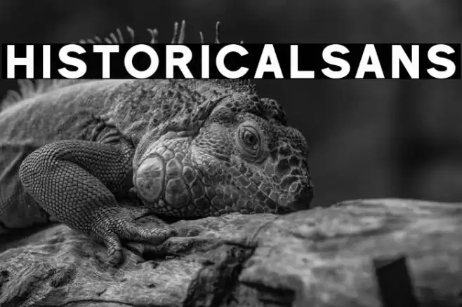 Historical-Sans Font examples