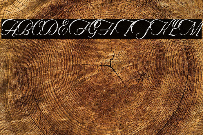 Historical-Textured Example 1