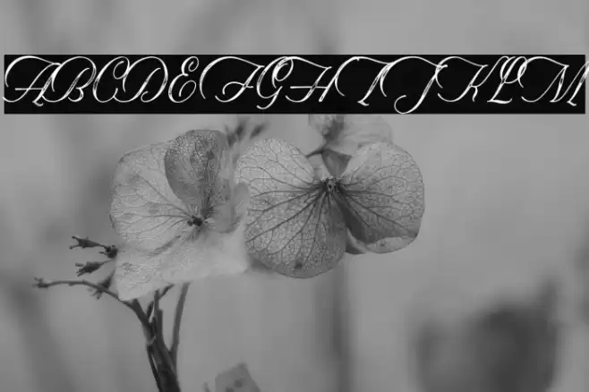 Historical-Textured Font examples