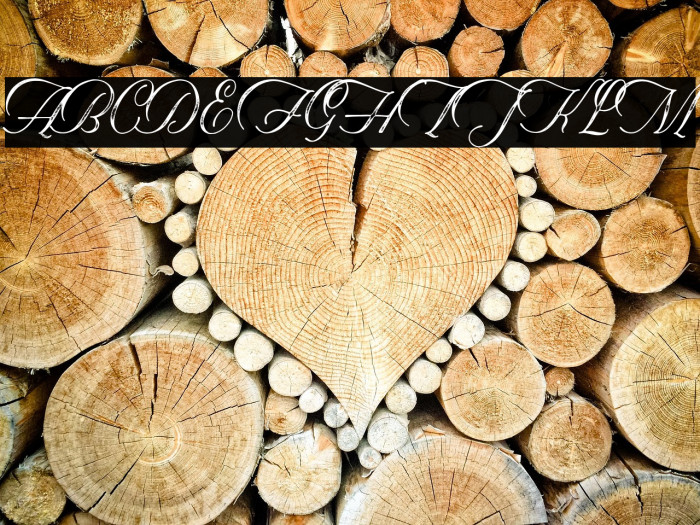 Historical-Textured Example 2