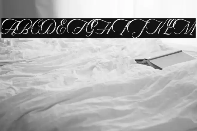 Historical-Textured Font examples