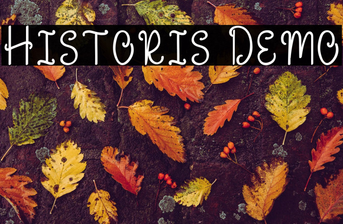 Historis Demo Example 2