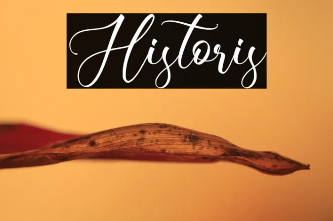 Historis Example 1