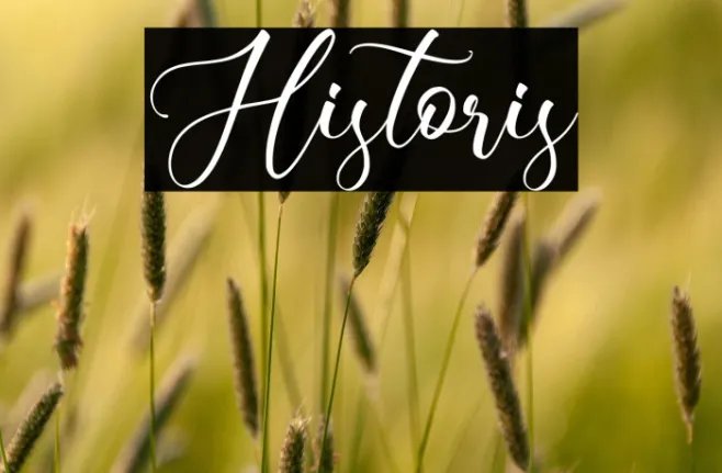 Historis Example 2