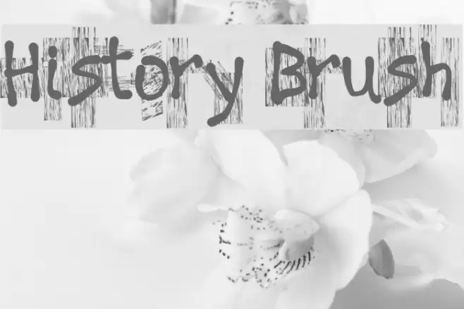 History Brush Font examples
