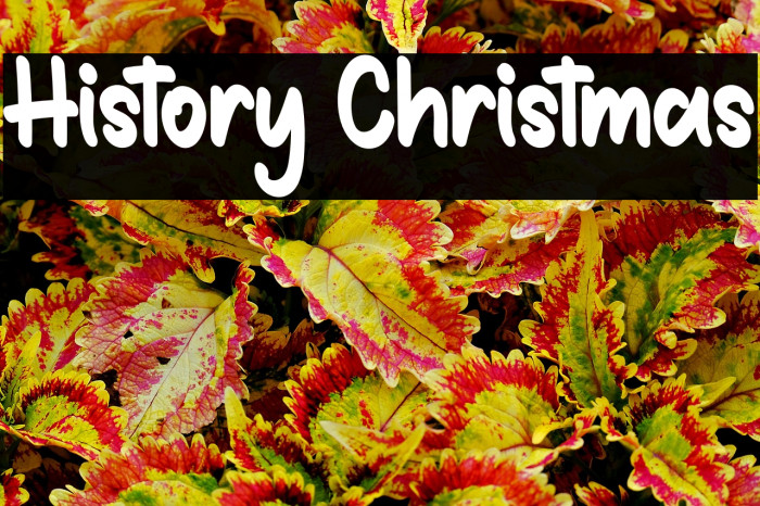 History Christmas Example 3