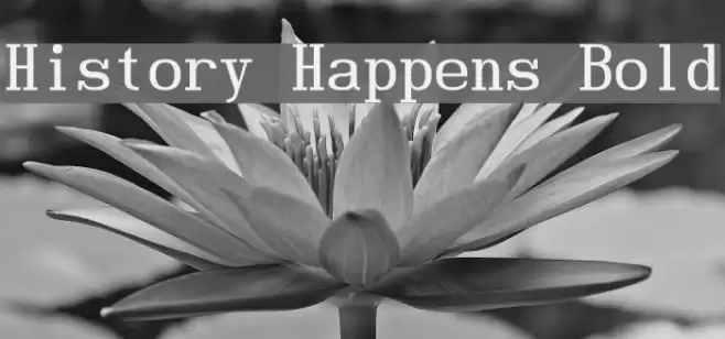 History Happens Bold Font examples