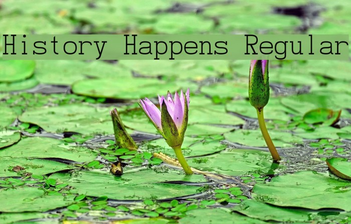 History Happens Regular Font examples