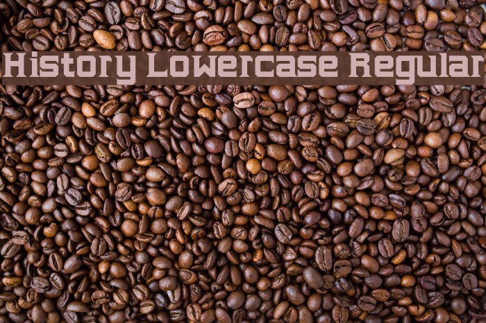 History Lowercase Regular Font examples