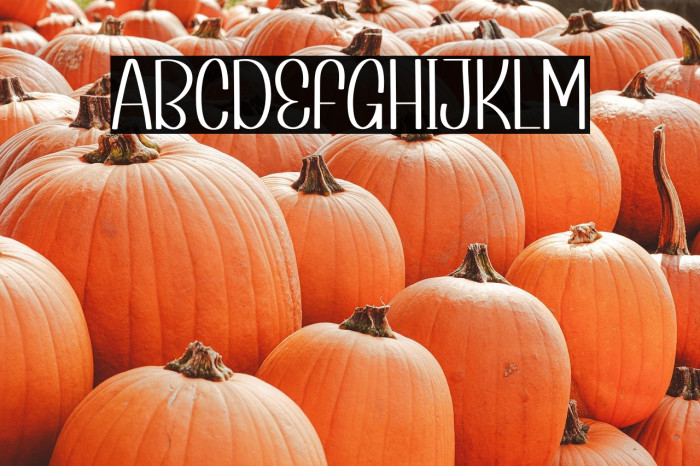 History Night Example 2