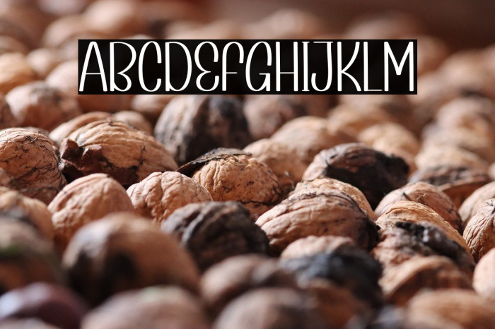 History Night Example 3