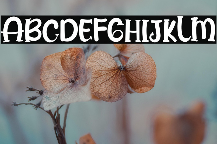 History Pumpkin Example 3