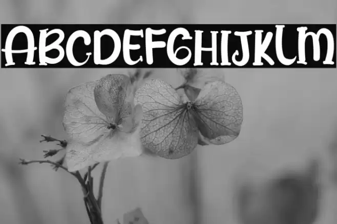 History Pumpkin Font examples