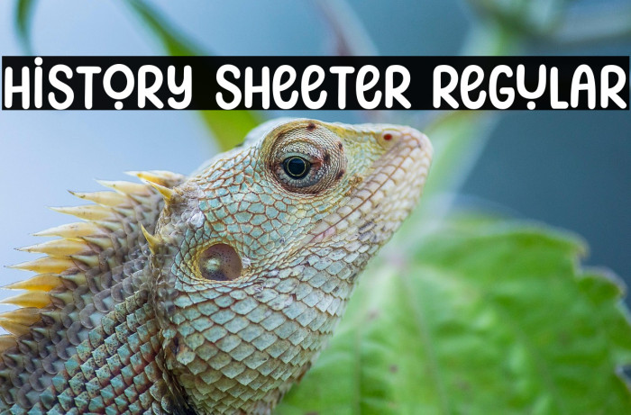 History Sheeter Regular Example 1