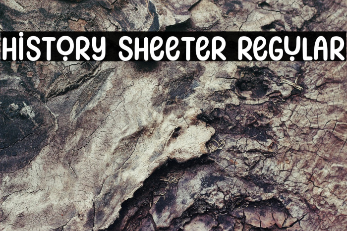 History Sheeter Regular Example 2