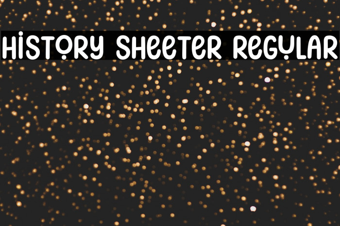 History Sheeter Regular Example 3