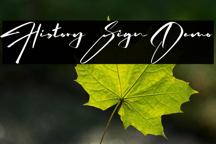 History Sign Demo Example 1