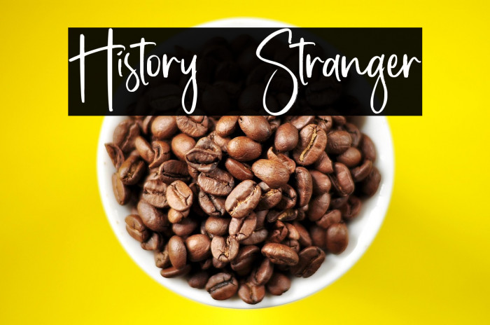 History Stranger Example 2