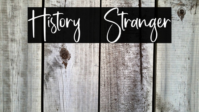 History Stranger Example 3