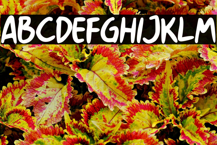 History Walker GT Demo Example 3