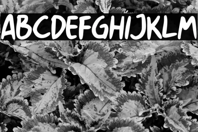 History Walker GT Demo Font examples