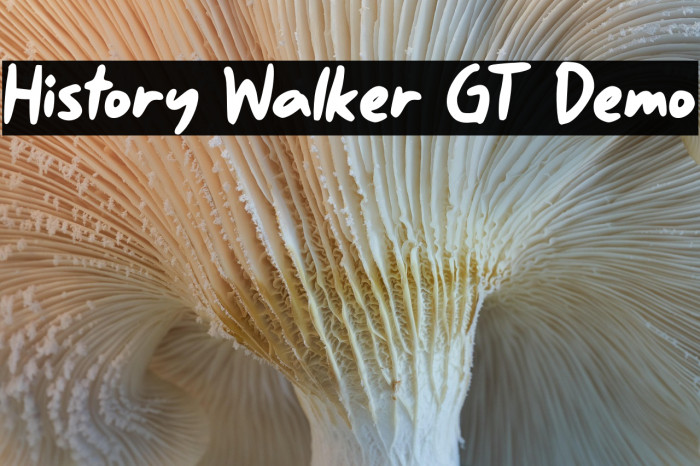 History Walker GT Demo Example 2