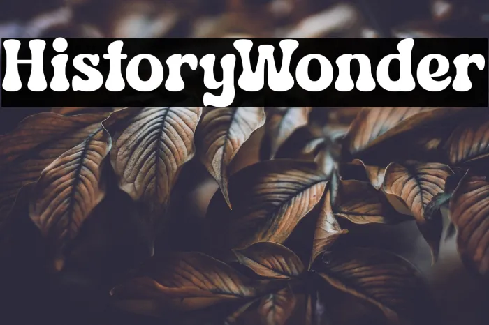 History Wonder Example 3
