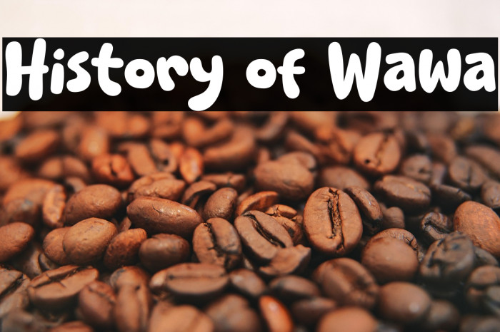 History of Wawa Example 1