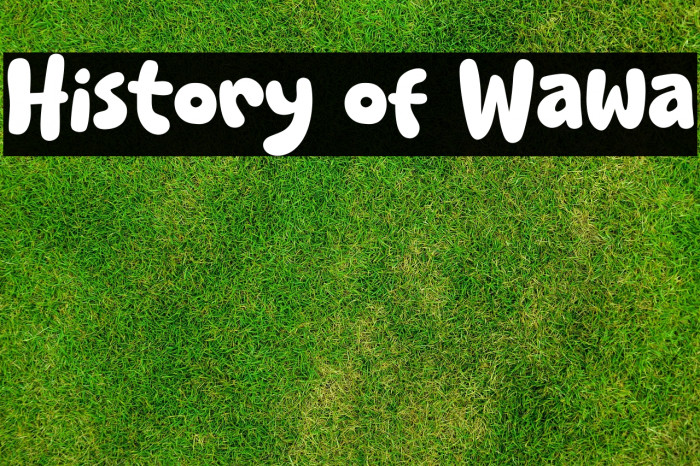 History of Wawa Example 2