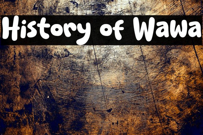 History of Wawa Example 3