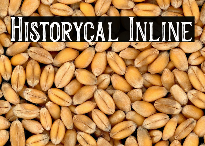 Historycal Inline Example 1