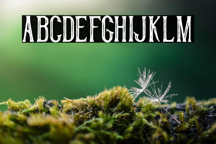 HistorycalInline Example 1