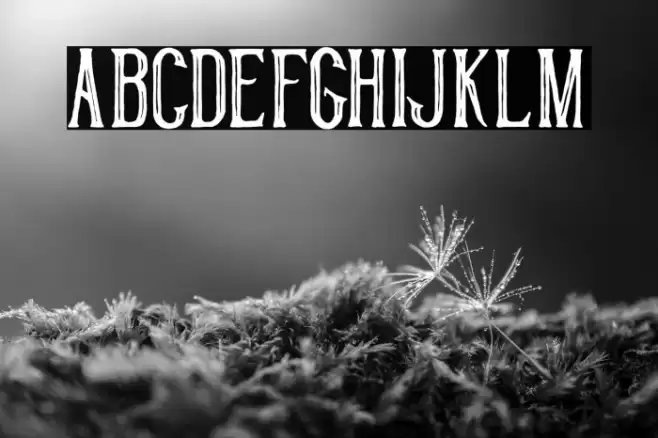 HistorycalInline Font examples