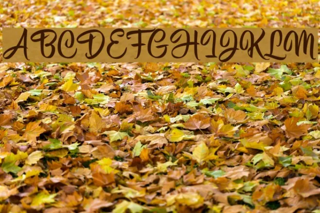 HisyamScript Personal Use Example 1