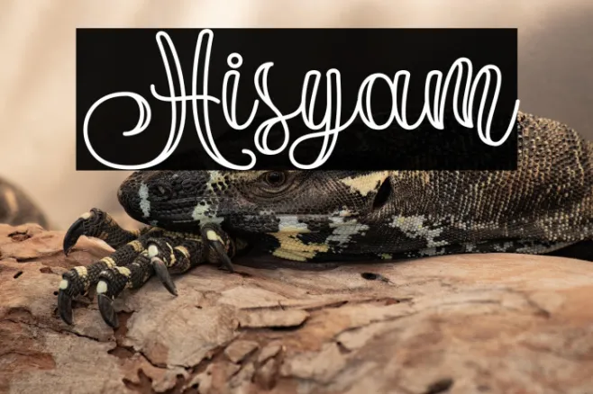 Hisyam Example 3