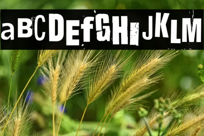 Hit me, punk! 03 Example 2