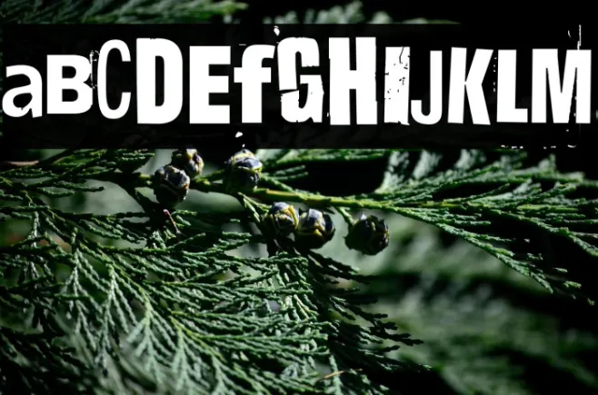 Hit me, punk! 04 Example 3