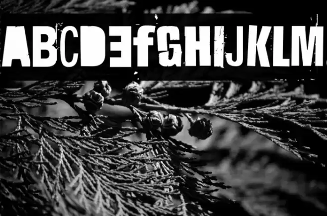 Hit me, punk! 09 Font examples