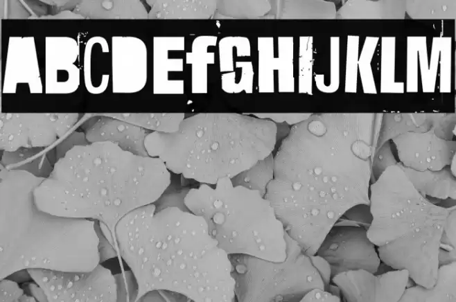 Hit me, punk! 10 Font examples