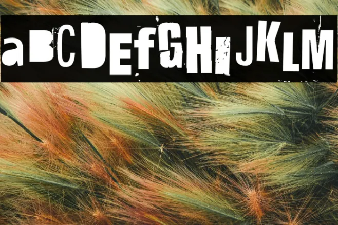 Hit me, punk! 12 Example 1