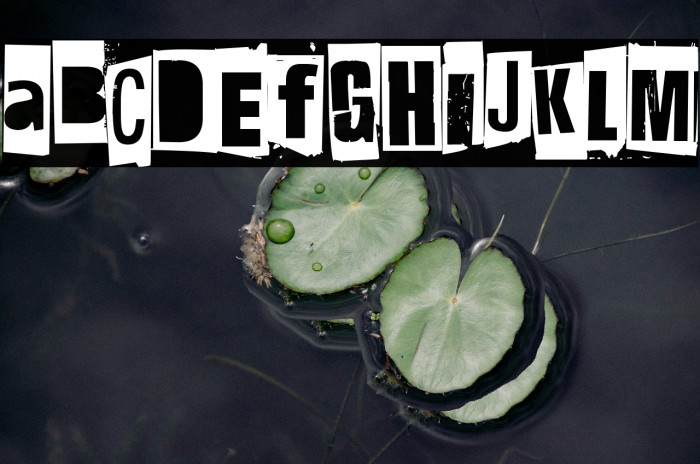 Hit me, punk! 14 Example 2