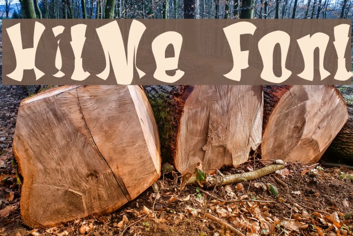 HitMe Font examples