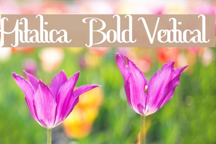 Hitalica Bold Vertical Font examples