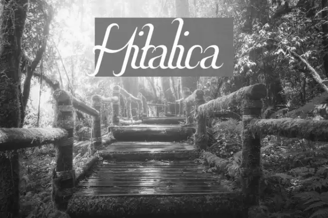 Hitalica 字体 examples