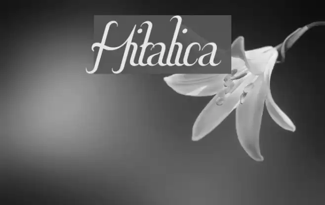 Hitalica 字体 examples
