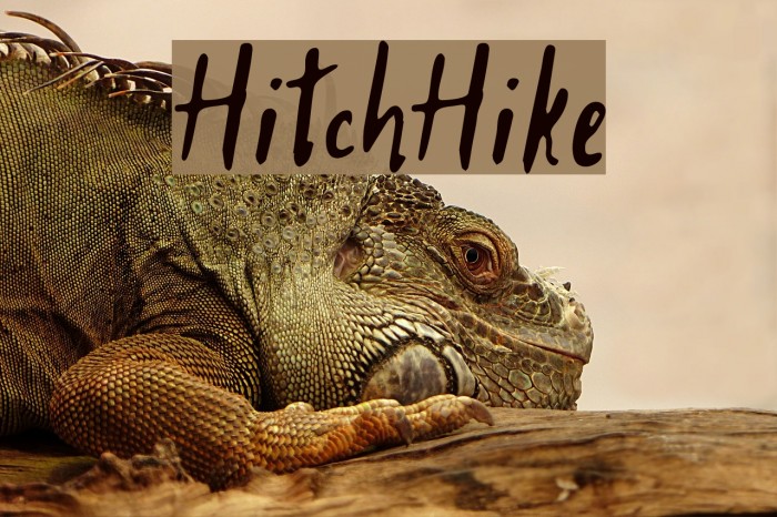 HitchHike Font examples