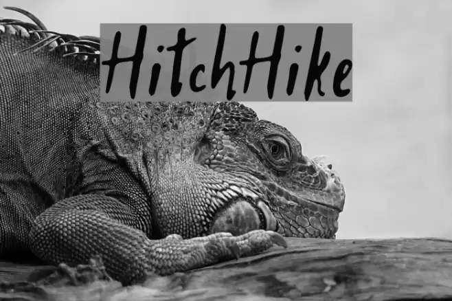 HitchHike Font examples