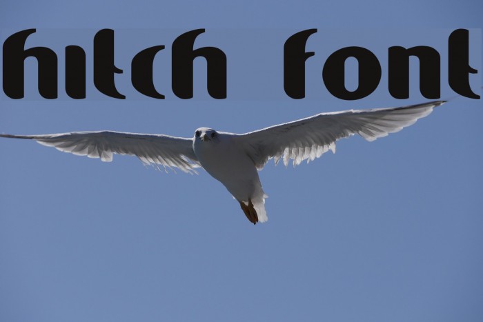Hitch Font examples